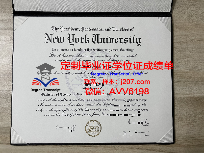 南星大学位证定制，价格背后的人文关怀与价值探讨