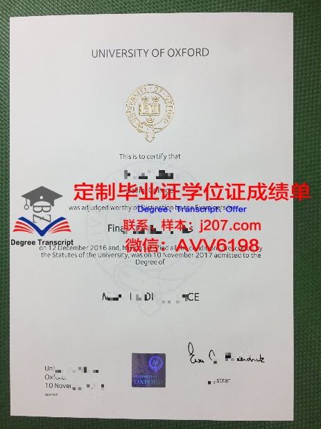 伊利诺伊大学芝加哥分校毕业证样本