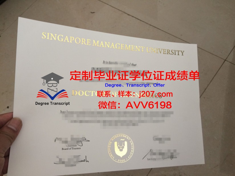 中东理工大学本科毕业证：跨越国界的学术荣耀