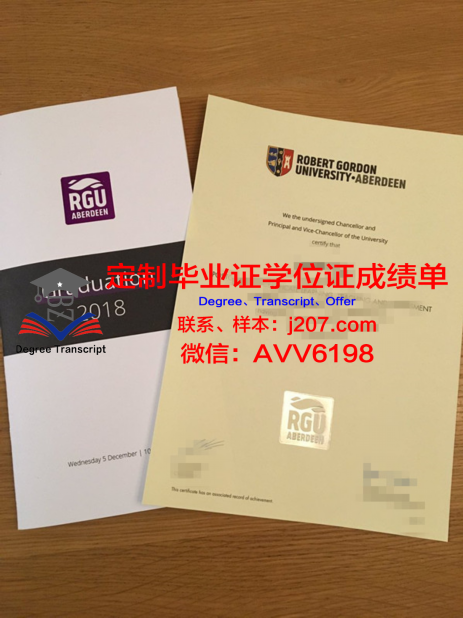 Indicator成绩单：揭示教育评价的新视角