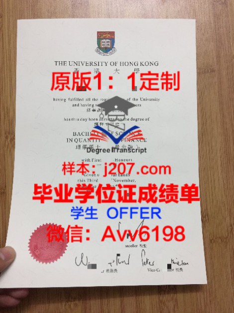 亚琛工业大学毕业证高清图(亚琛工业大学回国认可度)