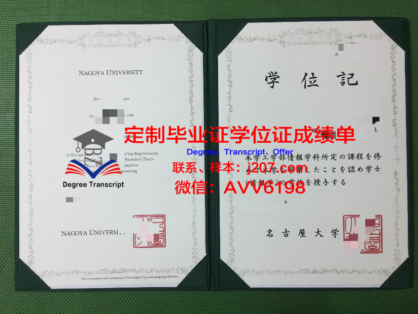 理工大学位证定制多少钱一个——揭秘背后的真相