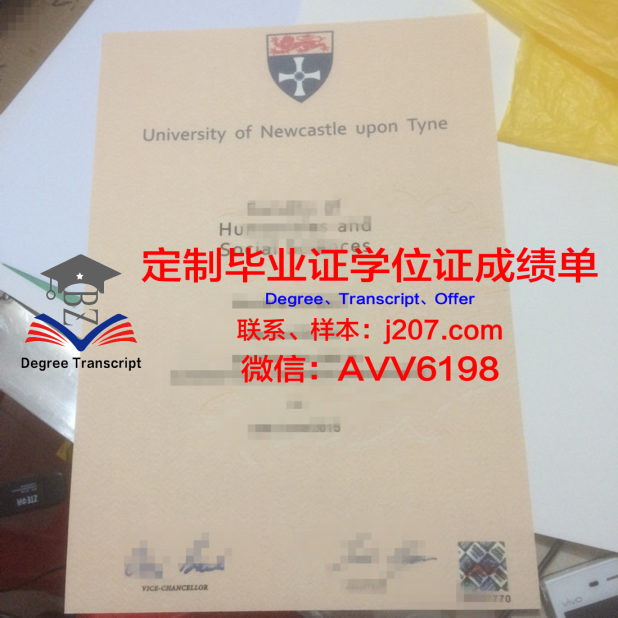 UACh学位证：迈向学术与职业成功的通行证