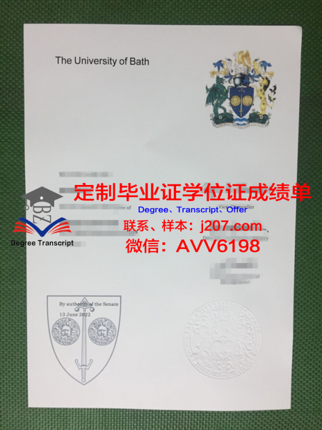 南十大本科学位证：一份荣誉的象征，一段青春的回忆