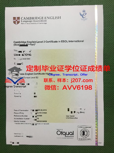 探究Seoul National学位文凭定制现象：反思与启示