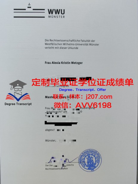 岭南大学学位证成绩单：一份承载荣誉与努力的证明