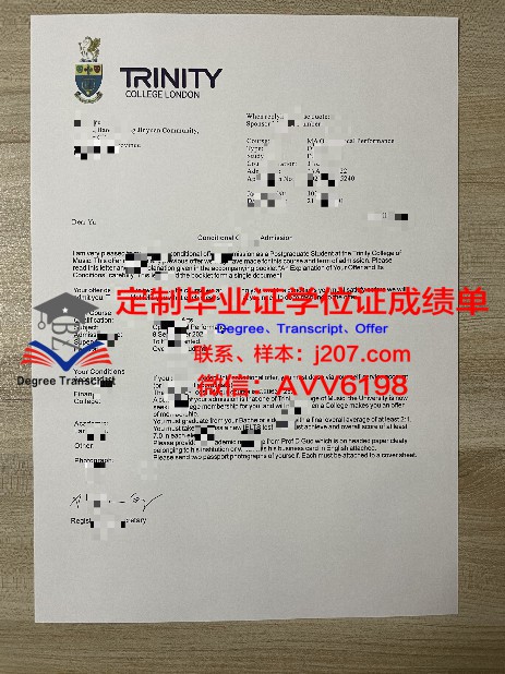 ITMO学位证：开启国际职场大门的黄金钥匙