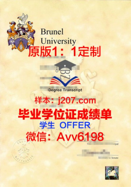 学位证丢失怎么办？全方位补救指南