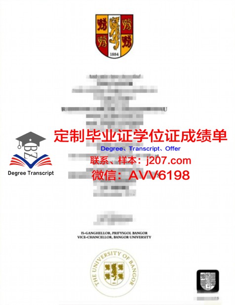 上海同济大学毕业证样本图片大全——见证青春与梦想的证书