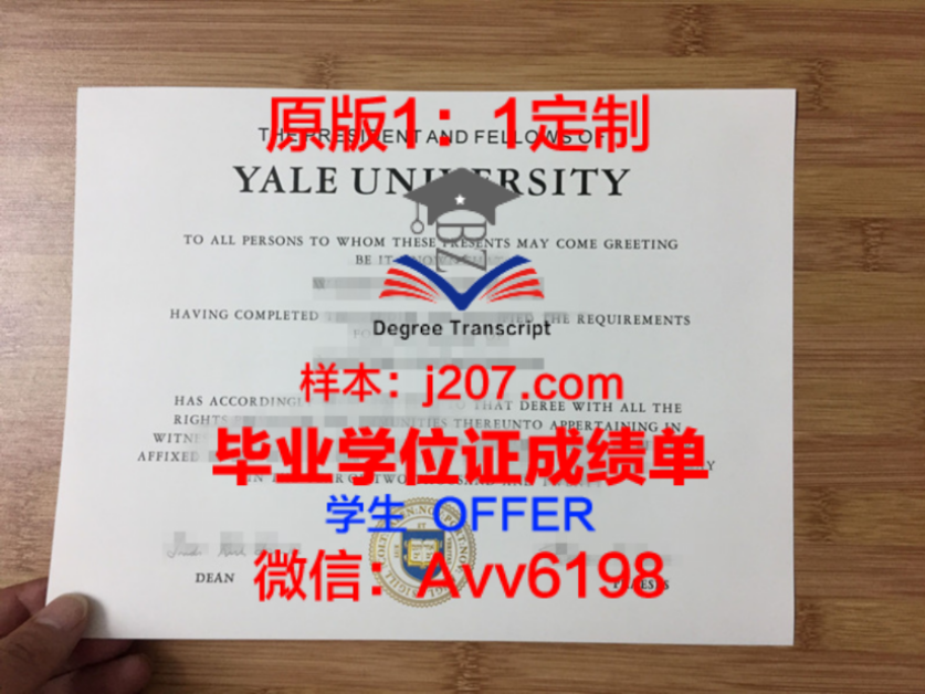 共和国中央大学毕业证翻译(中央大学翻译专业)