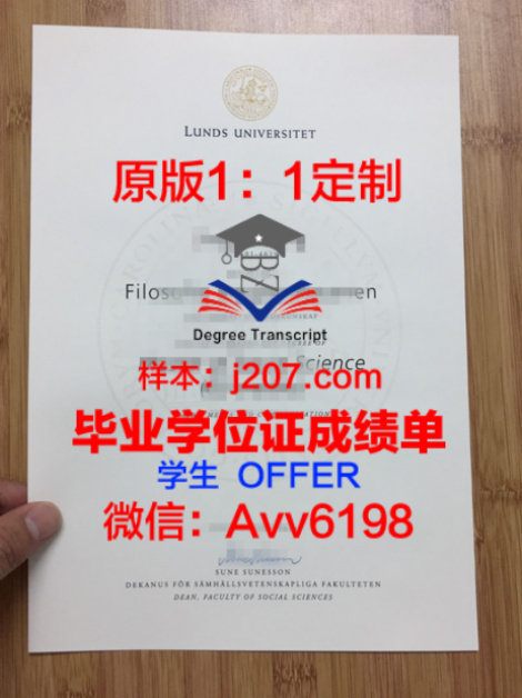 本科专业学位证的实际价值与意义