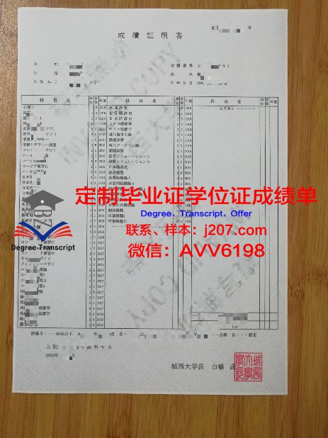 MMD博士学位证：开启国际教育新篇章