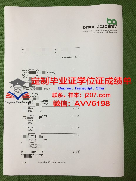 中山大学本科毕业证书：承载荣誉与梦想的证书样式解读