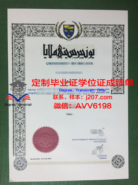 德国慕尼黑大学毕业证 Ludwig-Maximilians-Universit？tMünchen diploma