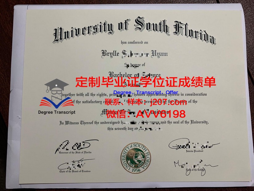 马里兰大学巴尔的摩分校毕业证  diploma