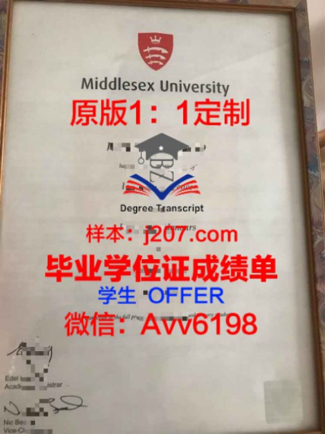 代尔夫特理工大学研究生毕业证(代尔夫特理工本科)