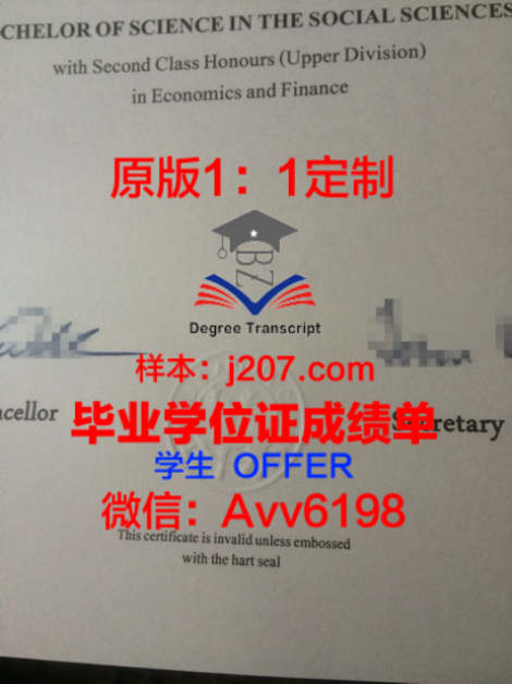 东北伊利诺伊大学毕业证样式(伊利诺伊大学怎么考)