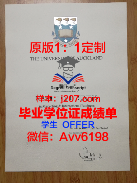 瓦朗谢纳大学国立高等计算机、电子能源及机械自动化工程师学院毕业证：开启未来职业发展的大门