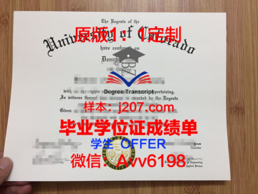 中央旁遮普大学毕业证成绩单：一张纸背后的故事与价值