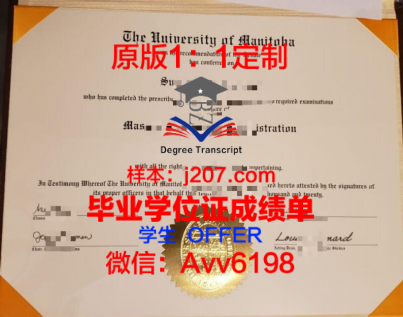 友谊大本科学位证：见证青春岁月的美好记忆