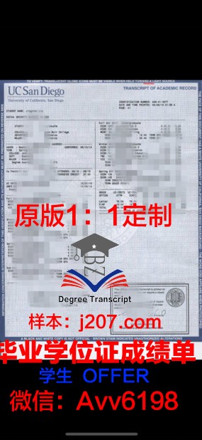 双学位成绩单：展现学术成就与全面发展的成绩单