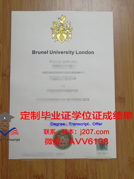 布尔诺理工大学博士毕业证书(布鲁内尔大学博士学费)