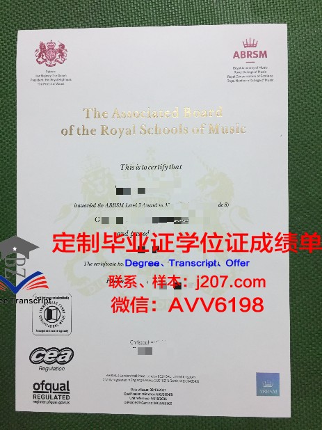 布加勒斯特国立艺术大学文凭(布加勒斯特国立音乐学院)