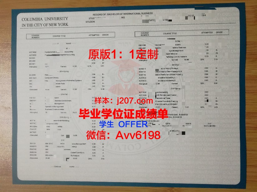 布尔诺理工大学学位成绩单定制：探究其背后的市场需求与合法性