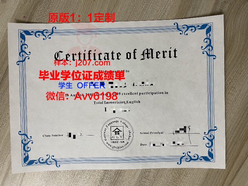 布加勒斯特经济学院diploma证书(布加勒斯特大学官网)