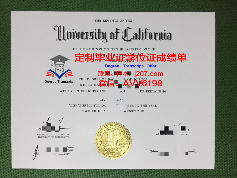 布埃纳文图拉大学毕业证图片Buena Vista University Diploma