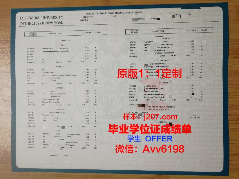 双学位成绩单：展现学术成就与全面发展的成绩单