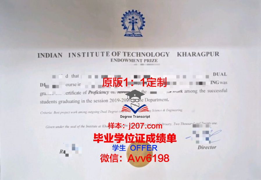 印度教育与研究科学学院莫哈利分校毕业证成绩单(印度理工学院课程)