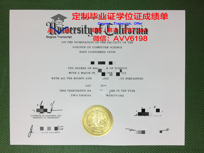 布列塔尼-布雷斯特高等商业学院毕业证案例(布列斯特国立大学)