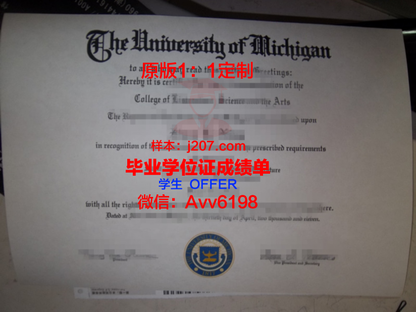 布兰登大学毕业证diploma