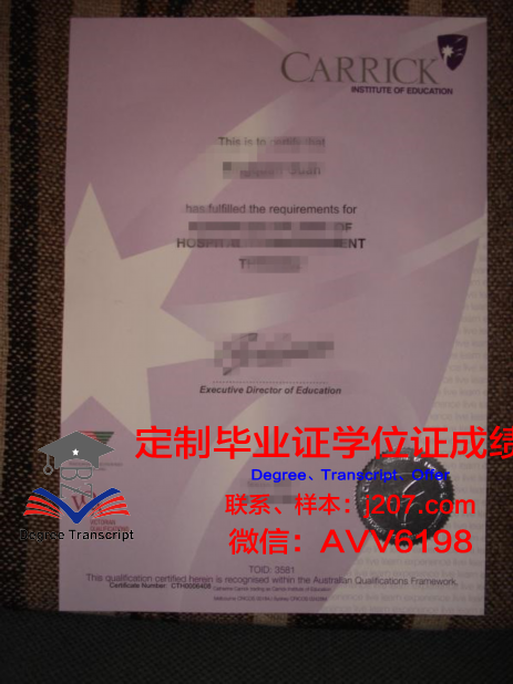 布伦瑞克工业大学毕业证书几月份拿到(布伦瑞克工业大学语言班)