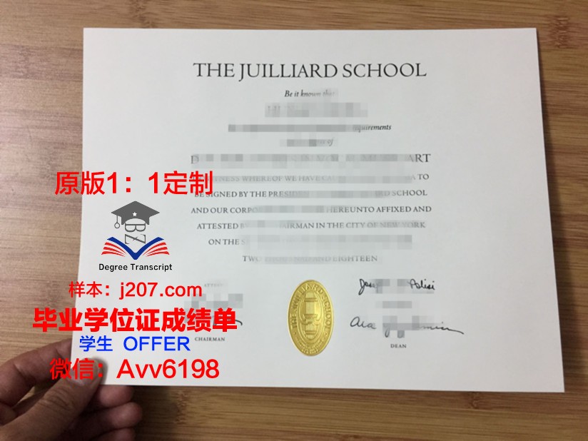 布加勒斯特国立艺术大学文凭(布加勒斯特国立音乐学院)