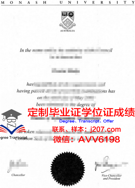 发罗拉伊斯梅尔·捷马利大学文凭