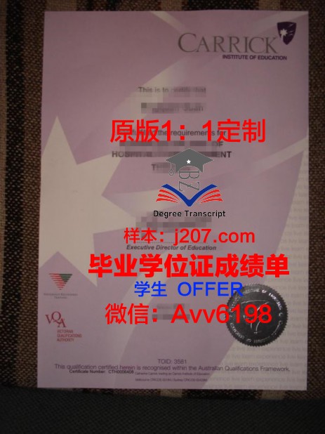 布伦瑞克造型艺术学院毕业证学位文凭学历Diploma