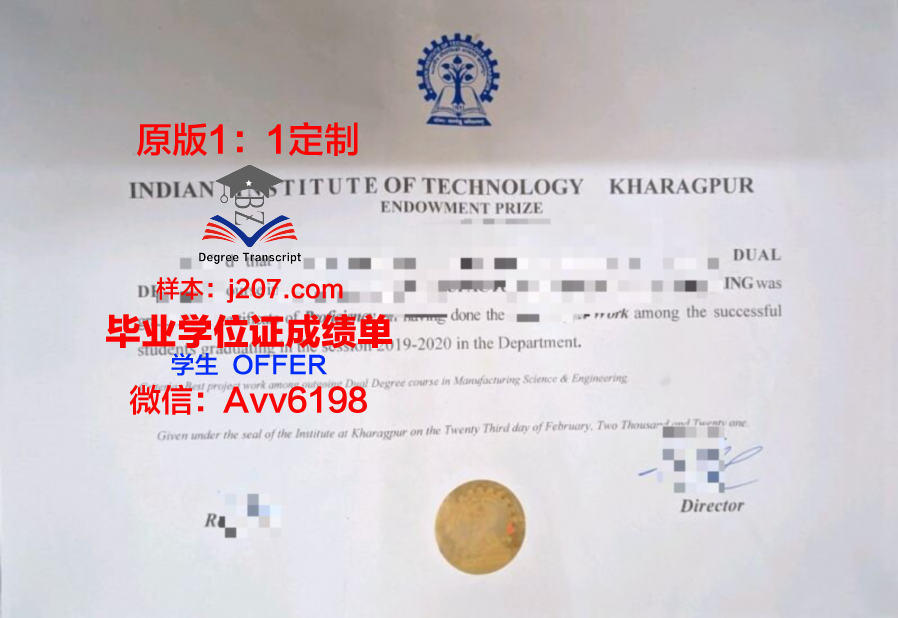 印度理工学院鲁基分校研究生毕业证(印度理工学院留学费用)