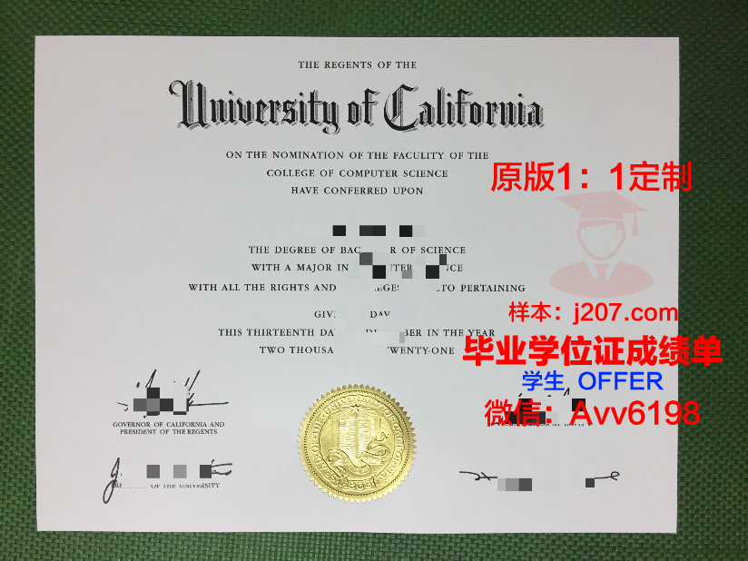 布基农国立大学硕士毕业证