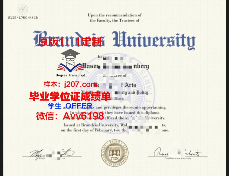 布兰迪斯大学毕业证长什么样(布兰迪斯大学好录取吗)