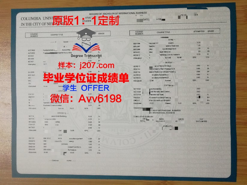 布加勒斯特经济学院成绩单：一份映射国际化教育质量的样本