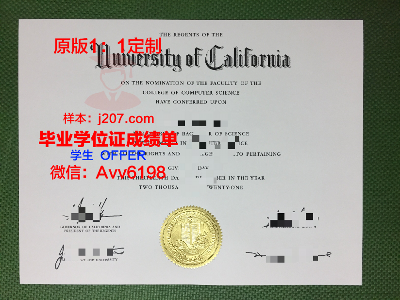 布列斯特国立技术大学毕业证：一份跨越国界的荣誉证书