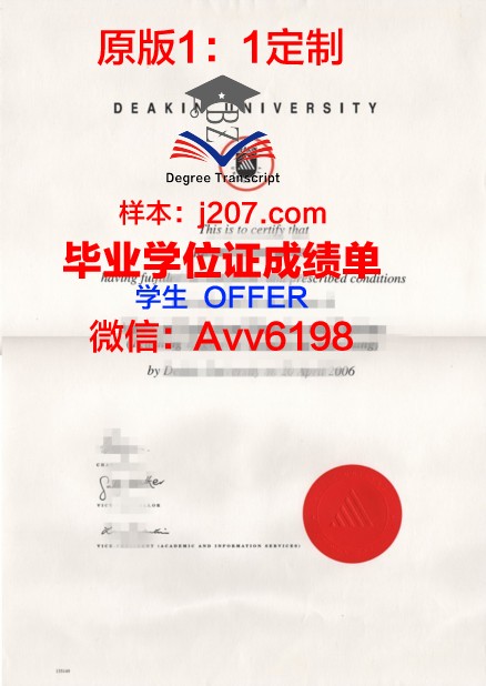 发罗拉伊斯梅尔·捷马利大学文凭