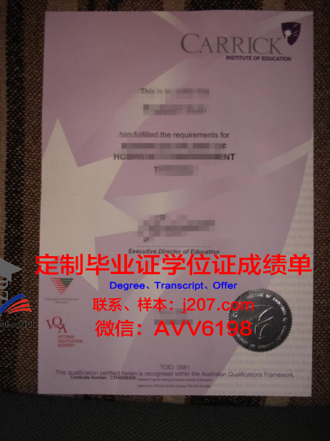 布伦瑞克工业大学成绩单(布伦瑞克工业大学语言班)