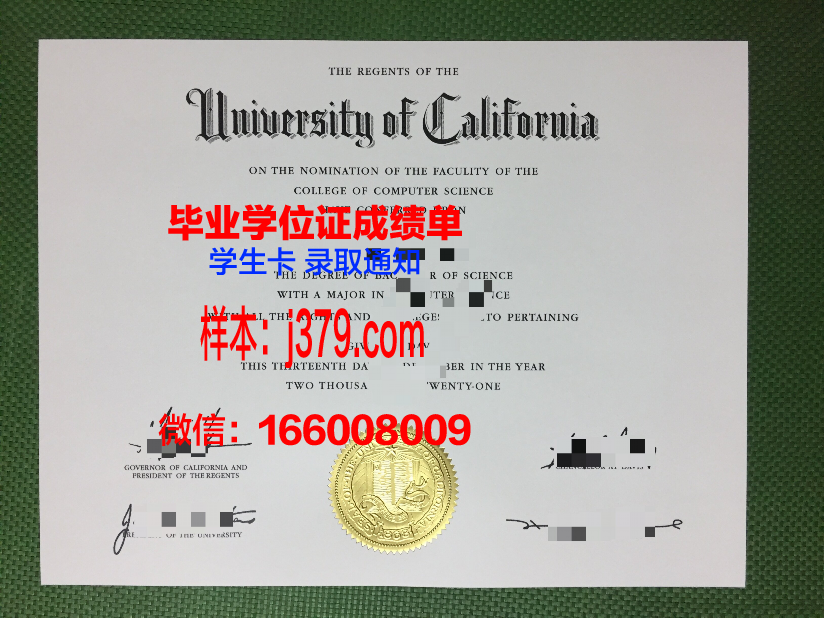 小尼奥毕业证成绩单：记录成长足迹，见证辉煌成果