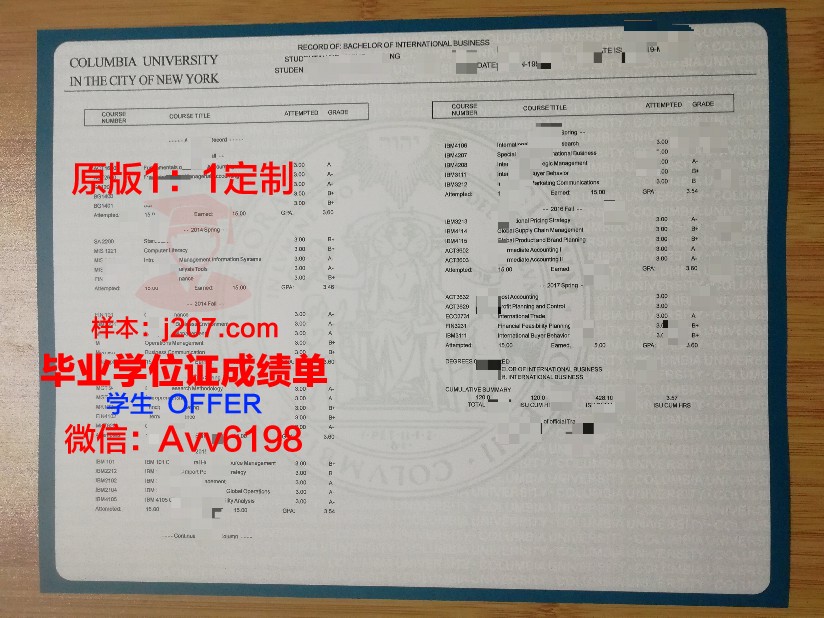 布基农国立大学证书成绩单