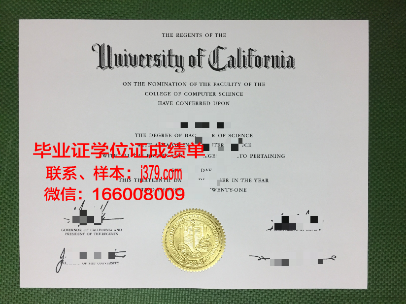 布加勒斯特经济学院本科毕业证：开启国际职场之门的钥匙