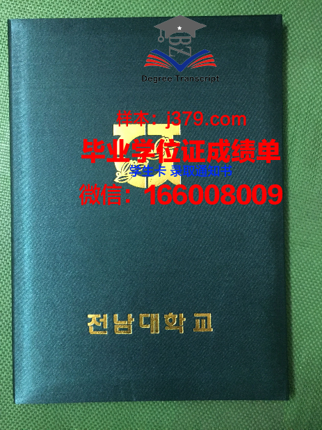 尼赫鲁科技大学毕业证壳子