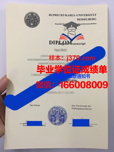 海德堡大学毕业证成绩单(海德堡大学绩点要求)